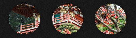 Japonia